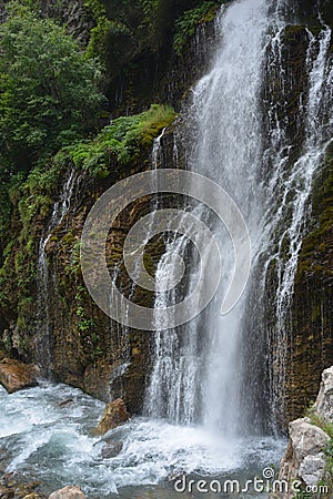 Waterfall among green foliage