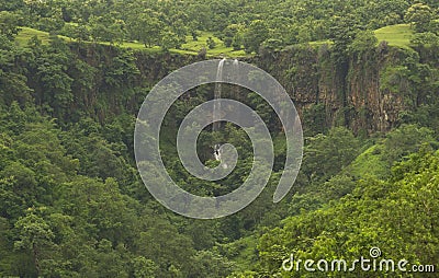 Waterfall in the Green Indian Forest