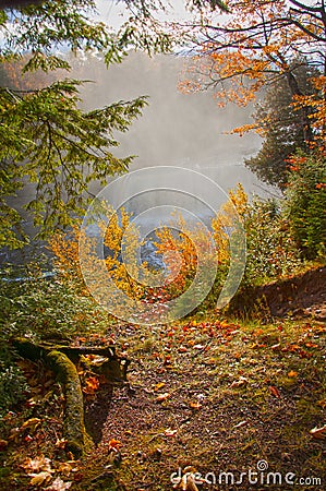 Waterfall and river in autumn, vertical