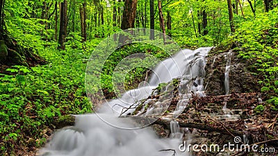 Waterfall in a Spring Forest