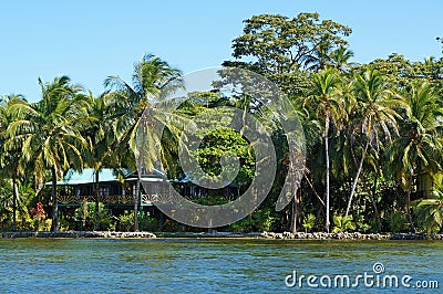 Waterfront house with tropical garden