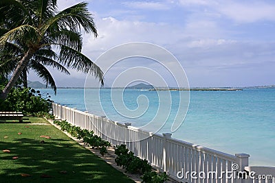 Waterfront property with palm tree and blue water