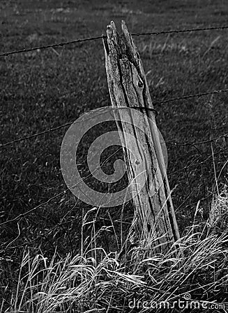 Weathered prairie fence post