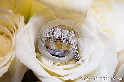 Wedding bands in rose