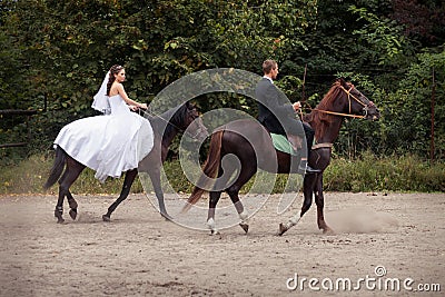 Wedding couple on horses