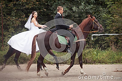 Wedding couple on horses