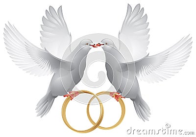 wedding dove and rings