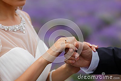 Wedding lavender field.
