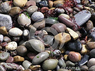 Wet Beach Stones