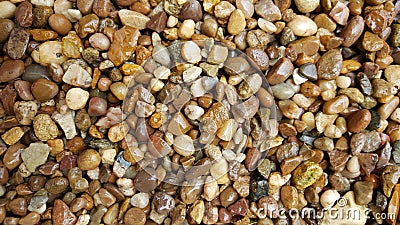 Wet Pea Shingle Gravel Pathway Stock Photo - Image: 57197254