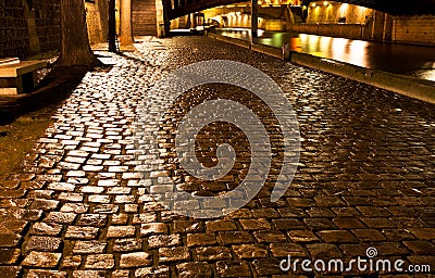 Wet quay in Paris at night