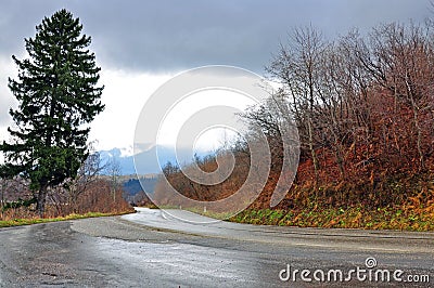 Wet road traffic