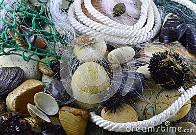 Wet stones and shells background