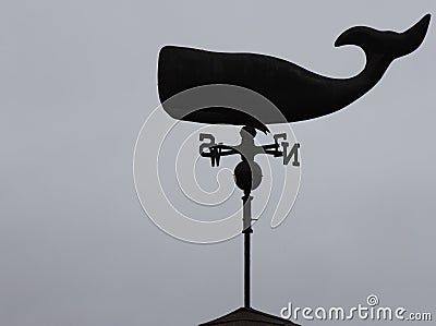 Whale wind vane