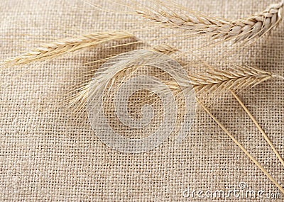 Wheat ears border on burlap background