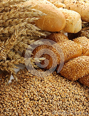 Wheat grain with buns and rolls