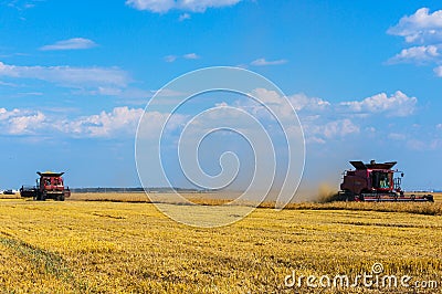 Wheat harvest