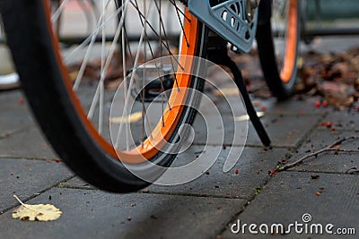 Wheel of orange bike in autumn