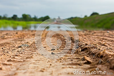 Wheel tracks to water.