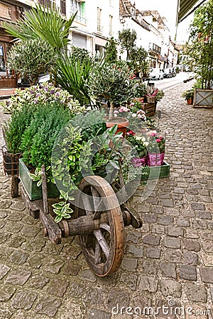 Wheelbarrow with Plants Display at Old Flower Shop