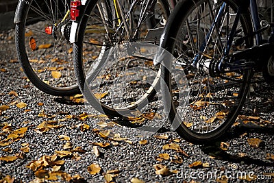 Wheels of bikes