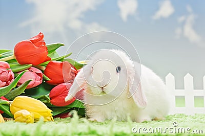 White baby rabbit with flowers