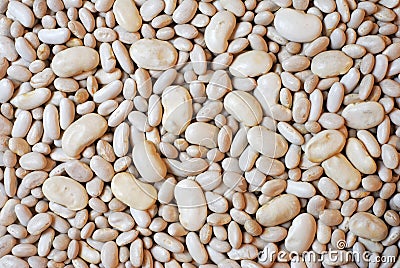 White beans background