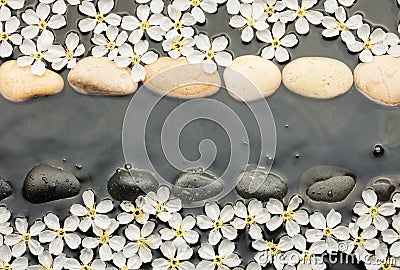 White and black stones and flowers in the water