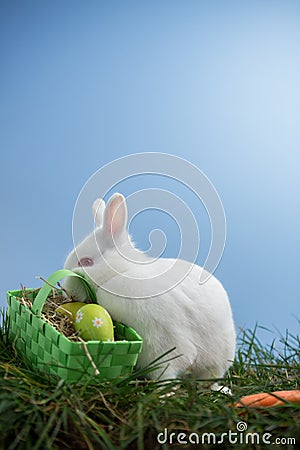 White bunny rabbit sitting on grass with basket of eggs