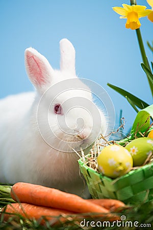 White bunny sitting beside easter eggs in green basket and carro
