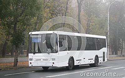 White bus