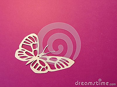 White butterfly. Paper cutting.