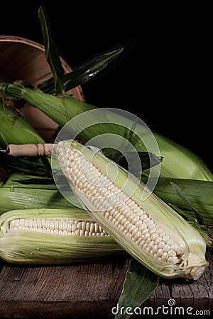 White Corn Wood Surface 2