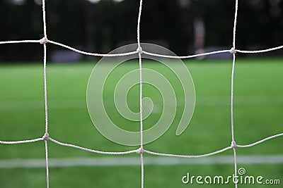 White football net and green grass