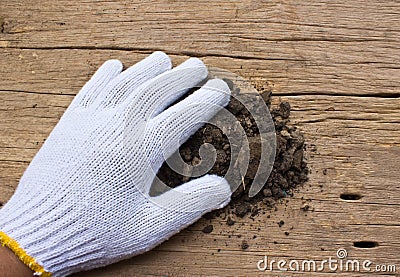 White garden gloves a with soil