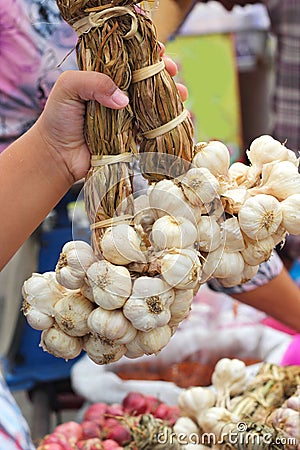 White garlic in the market