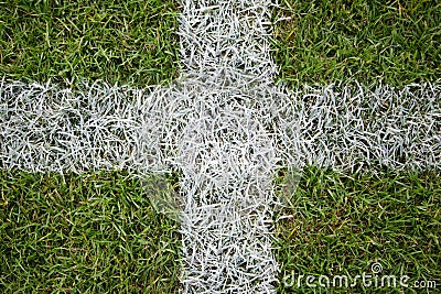 White grass lines on a soccer field.