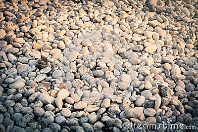 White gravel with sun light.
