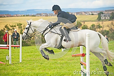 White horse jumping at Nairn Show