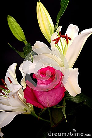 White Lily and rose