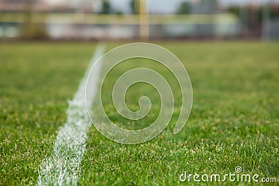 White line on a soccer field