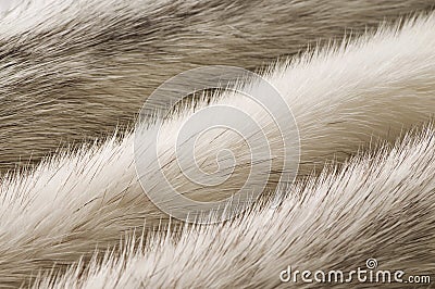White mink fur texture