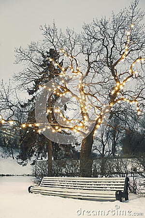 White park bench under illuminated tree in winter