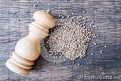 White peppercorns and wooden pepper shaker