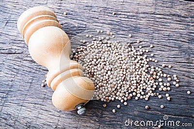 White peppercorns and wooden pepper shaker