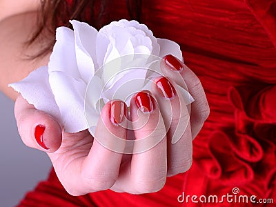 White rose in hand with red nail