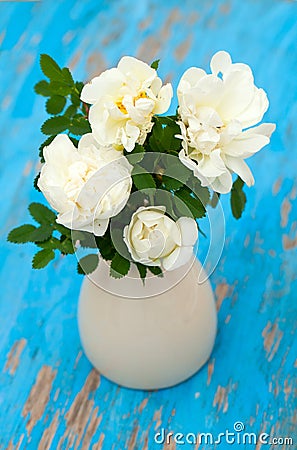 White roses in vase on blue wooden background