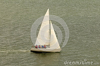 White Sail Boat