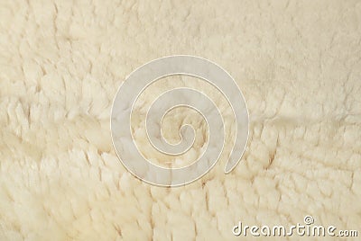 White sheep fur background