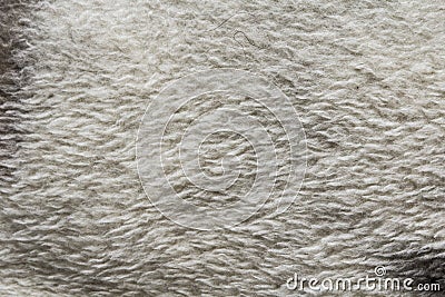 White textile texture